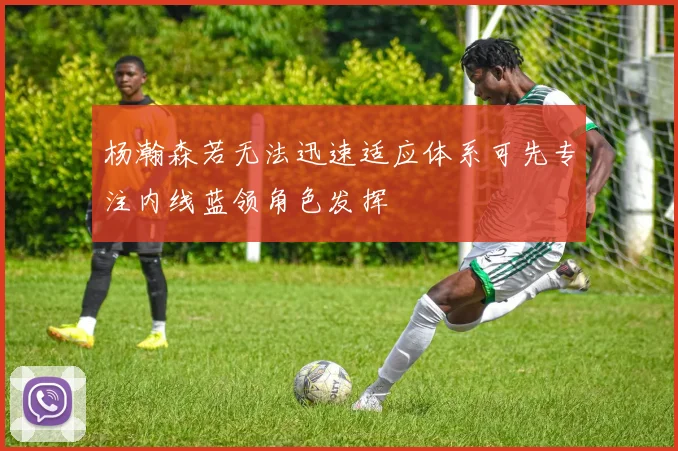 杨瀚森若无法迅速适应体系可先专注内线蓝领角色发挥